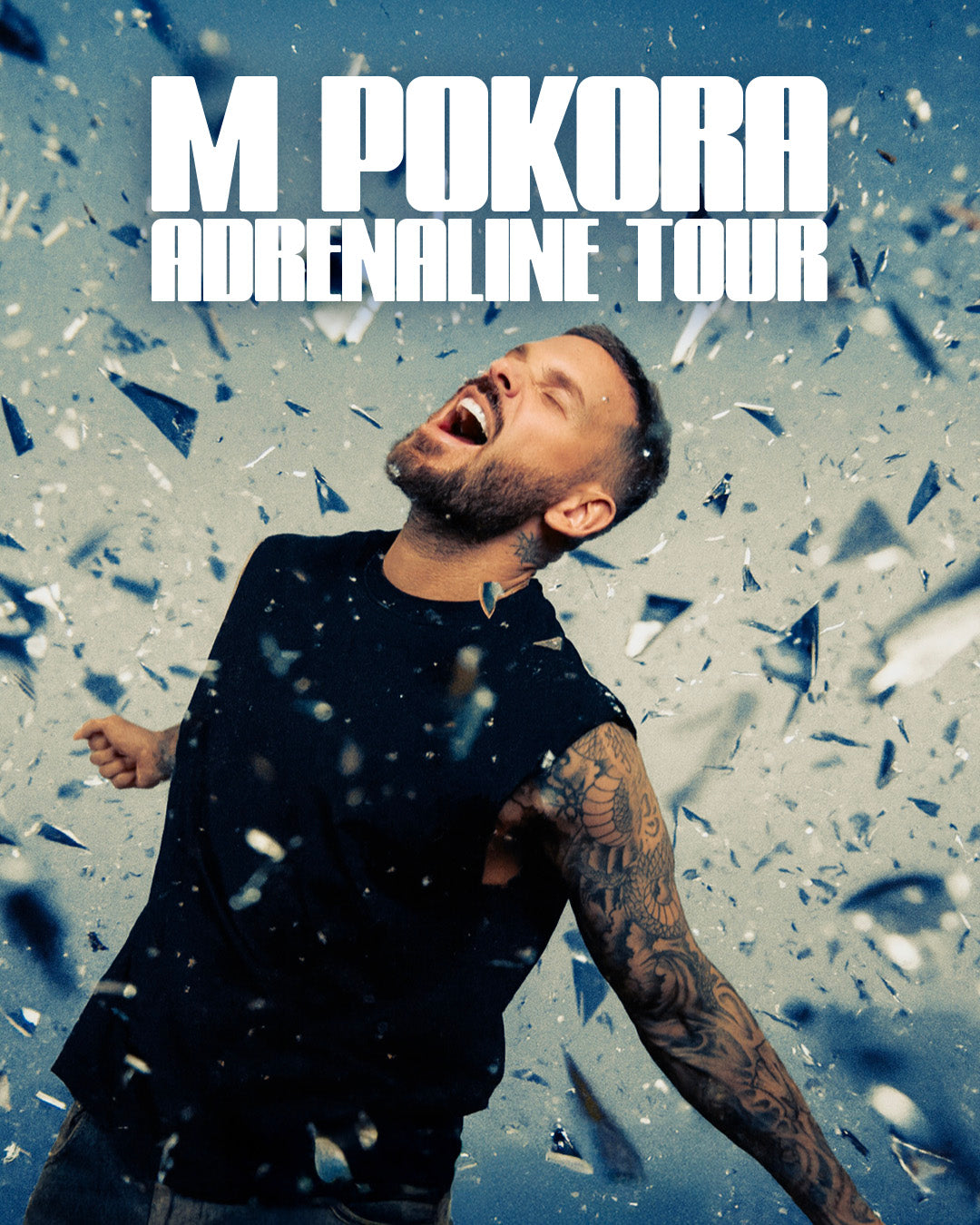 M. Pokora – Adrenaline Tour (Private Box)